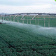 Illustration for article titled Center Pivot Irrigation: How to Grow Food in the Middle of the Sahara